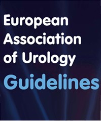 Рекомендации европейской ассоциации урологов 2010