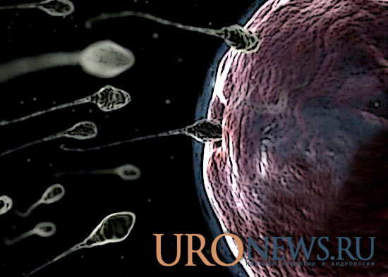 Нарушение сперматогенеза астенозооспермия спермограмма возраст мужчины и качество эякулята